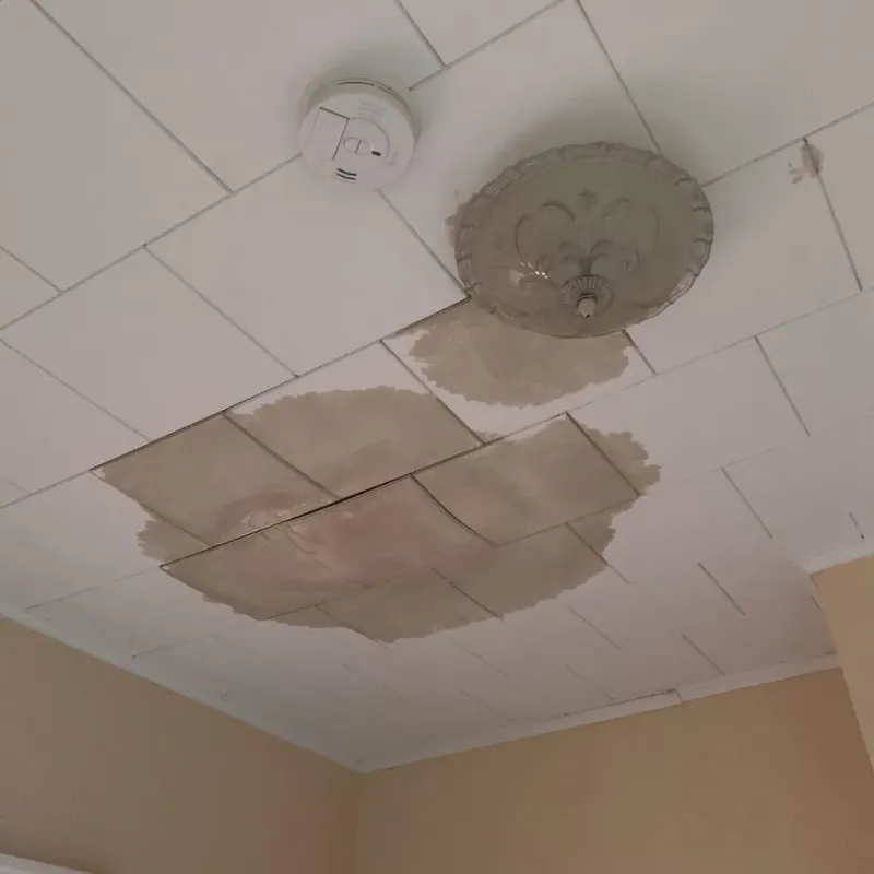 Ceiling Water Damage Repair in Cementon, PA