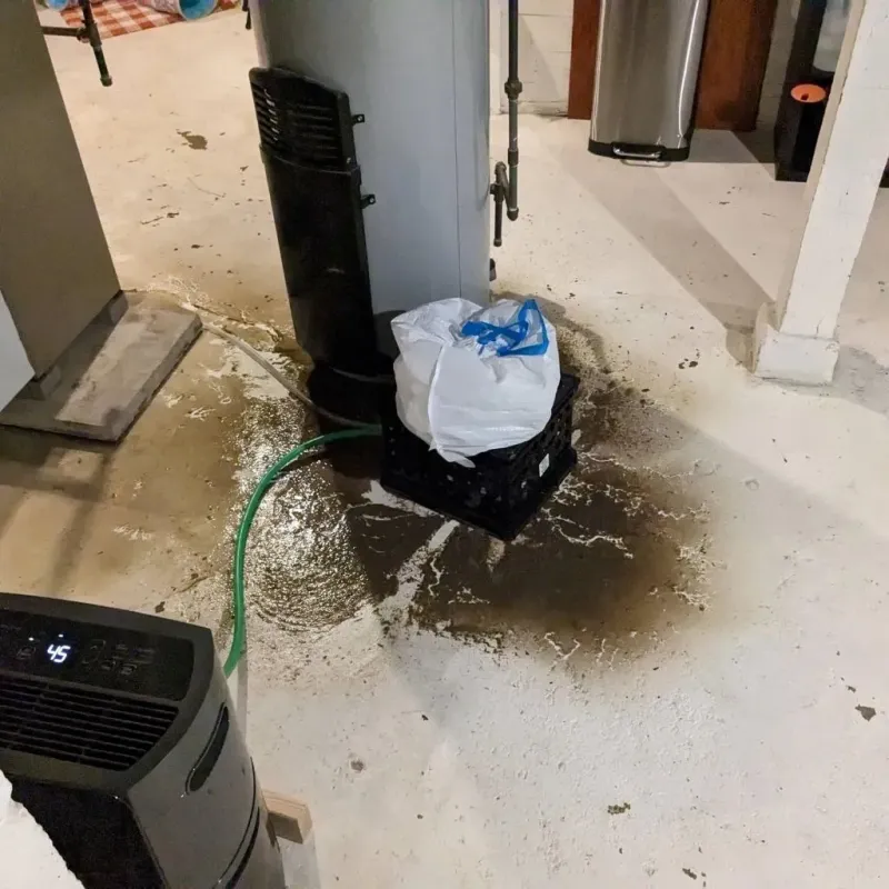 Sewage Backup Cleanup Service in Cementon, PA